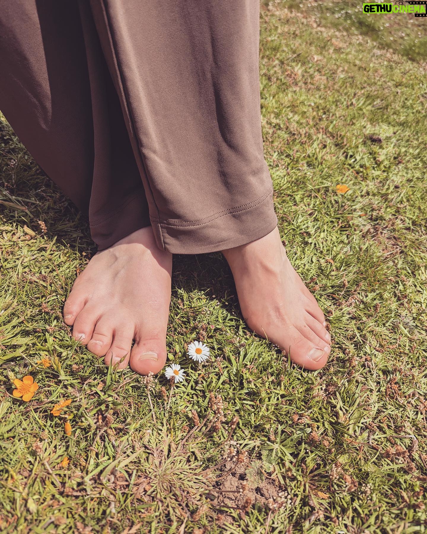 Poppy Lee Friar - 4K Likes - Don’t forget to walk barefoot on the Earth and ground yourself 🦶🏻
SO many health benefits: reduces white blood cells/ increases red blood cells which aids immunity. Increases antioxidants, reduces inflammation and improves sleep, mood… the list goes on!
🌳🌿🌊🌍💫
#nature #grounding #earth #summer #sun #walking #barefoot #mood #health