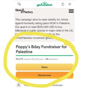 Poppy Liu Instagram - i’m furious. we reached our fundraiser goal for @theslowfactory within a day (✨yay✨) but that same evening @gofundme placed a hold on all donations while they “review the campaign for compliance.” this is the 5th fundraiser i have hosted on gofundme and the first time one of my campaigns has come under such scrutiny. it is incredibly clear that this request for review is driven by anti-arab racism and corresponds directly with national discrimination to suppress 🍉ian voices. 

i have sent all the information they have requested and have been met with silence or more requests. gofundme claims this is about compliance and policy and concern for “those affected by the crisis unfolding in the middle east.” it is, in fact, about none of those things. it is entirely about stifling the voices, violating the right of free speech, and bullying into silence those people who dare to publicly support what is happening to the 🍉ian people.

i have included gofundme’s support email address in the last slide. please email them, especially if you made a donation, and ask for these funds to be released ASAP.