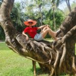 Poppy Jabbal Instagram – BANYANED……

 POSTCARD TO REMEMBER

#AlilaDiwaGoa #TheDiwaClubbyAlila #HyattHotel #AlilaJourney