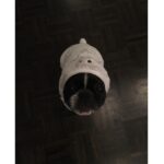 Portia Doubleday Instagram - My little bunny Logan.