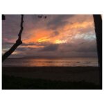 Portia Doubleday Instagram - 20 mins later...