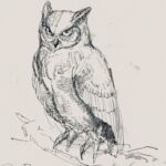 Posuka Demizu Instagram - 🦉