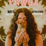 Pradaini Surva Instagram - Guess who’s joining us this weekend? That’s right! The OG star Pawgi @pradainisurva is back at back leading this weekend’s puppy yoga session at @tattva_thestudio Join us for a relaxing heart opening session with Pradaini Surva as puppies from the @blue_cross_rescues run around you. The best part is a portion of the tickets from the Pawga event go to the welfare of animals at the shelter. Also all the puppies are up for adoption and are looking for a forever home. You can book the tickets on www.pawgapetsyoga.com Are you ready to #pawga . . . . . #chennai #thingstodoinchennai #chennaievents #chennaiadoptiondrive #chennaiyoga