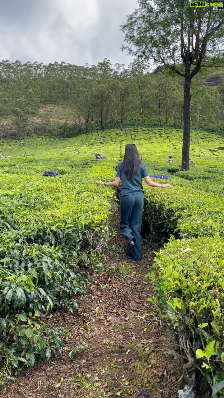 Pragati Srivastava - 9.2K Likes - Could I have a small tea estate of my own? 🍃