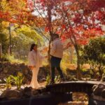 Prakriti Shrestha Instagram - The only way I can heal from everything and anything is your love ❤️ 🍂🍁 🧿