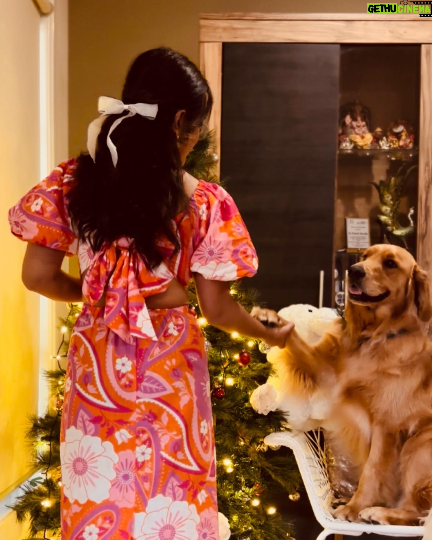 Prakriti Shrestha Instagram - My life bundle of fluff and joy 🦋♥️ @leo.thehero2022