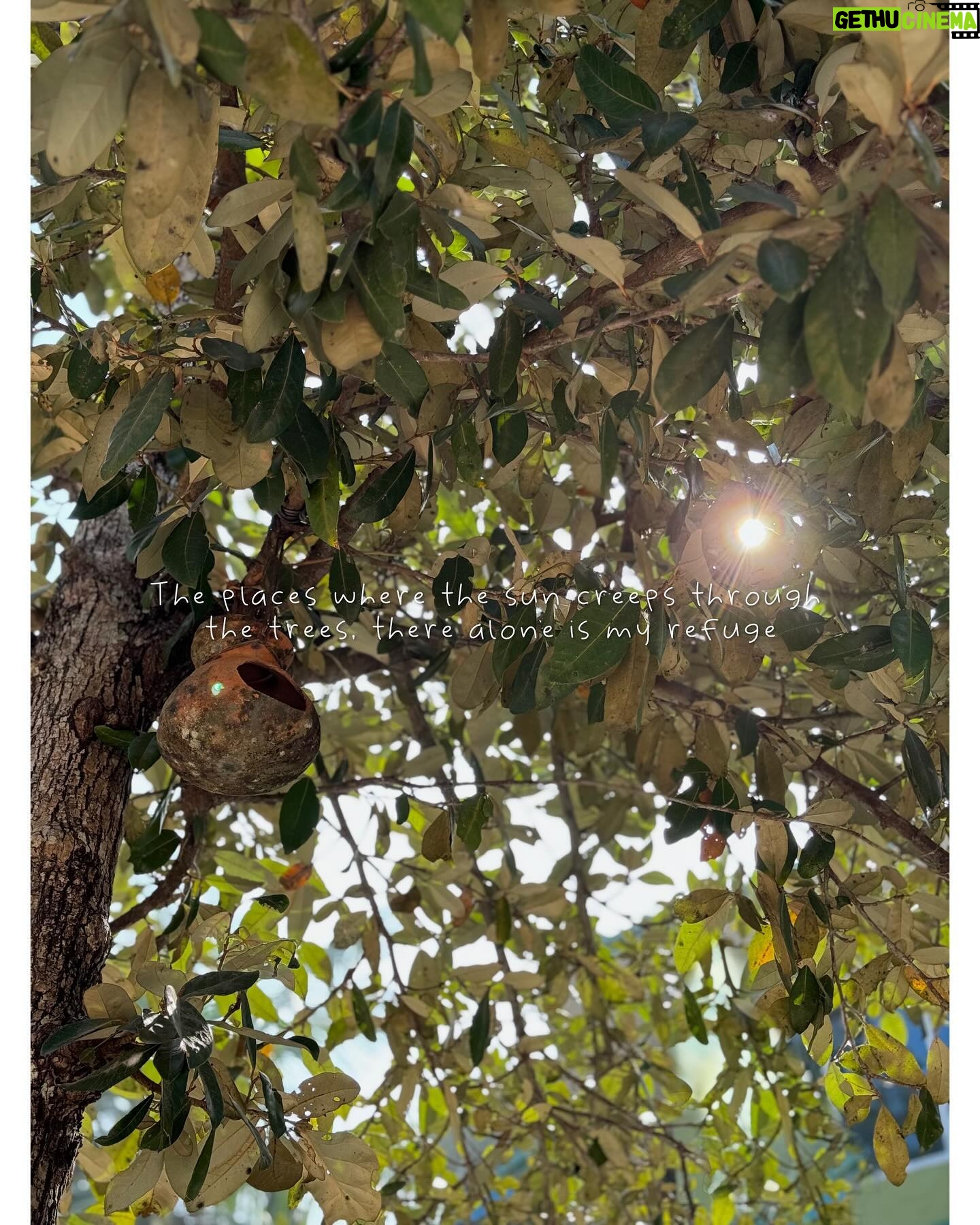 Pratyusha Paul Instagram - π΅π©π¦ π§π°π³π¦π΄π΅. ππ΅ πͺπ΄ π΅π©π¦ π±ππ’π€π¦ πΈπ©π¦π³π¦ πΊπ°πΆ π©π¦π’π³ πΊπ°πΆπ³π΄π¦ππ§ π£π¦π΅π΅π¦π³..πΊοΈπ΄π§³βοΈπ²ππ―π . . . . . . . . . . . . . . . . . . . #throwback #vacation #jungle #forest #wildanimals #royalbengaltiger #intothewild #holiday #mangroves #safari