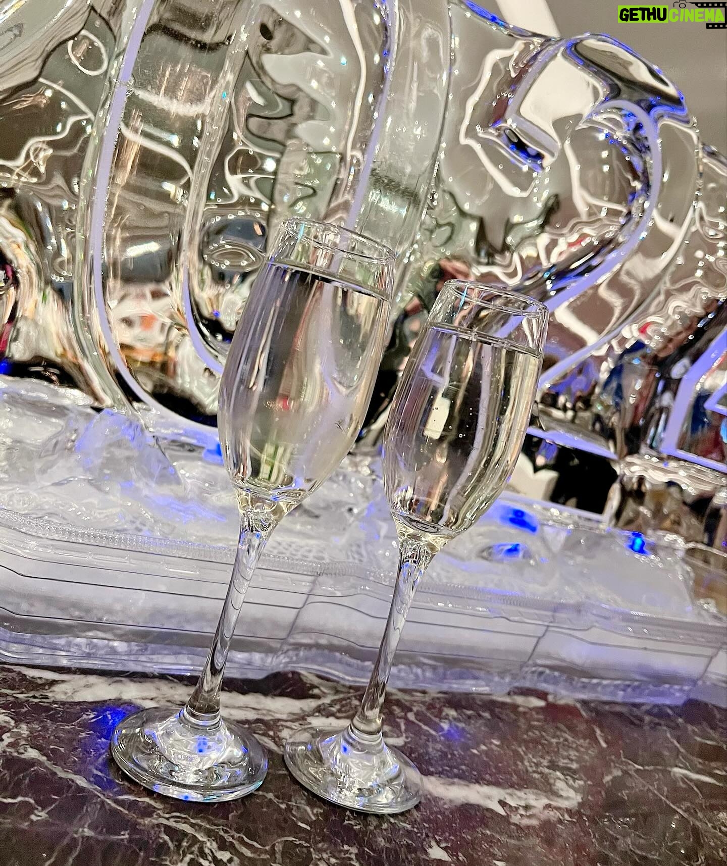 Precious Muir Instagram - ✨You change the world by being yourself✨ 🎉 Happy New Year Everyone! 🎉 🥂NYE Location: @metmayfair 📸 Photographer: @jackghmedia ________________________________________ #nye #newyearsday #happynewyear #2024 #newyearseve #newyear #january1st #happynewyear2024 #newyeargoals