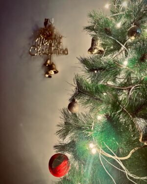 Preetha Instagram - With a smile on your face and hope in your heart, let us welcome the good times Christmas is going to bring along. ♥️

Merry Christmas to each one of you ✨
Love you all♥️😘

#christmas2023 #itspreetha_official