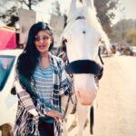 Preethi Kitchappan Instagram - Sultan he is….. #animals #animallovers #horse #shotoniphone #instagood #picoftheday #instapic #instamood #sultan #lovers