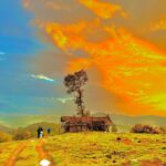 Preethiga Instagram – Some good captures at kodaikanal 🕊️
.
Pc: @abisheksam10 
.
#photography #nature