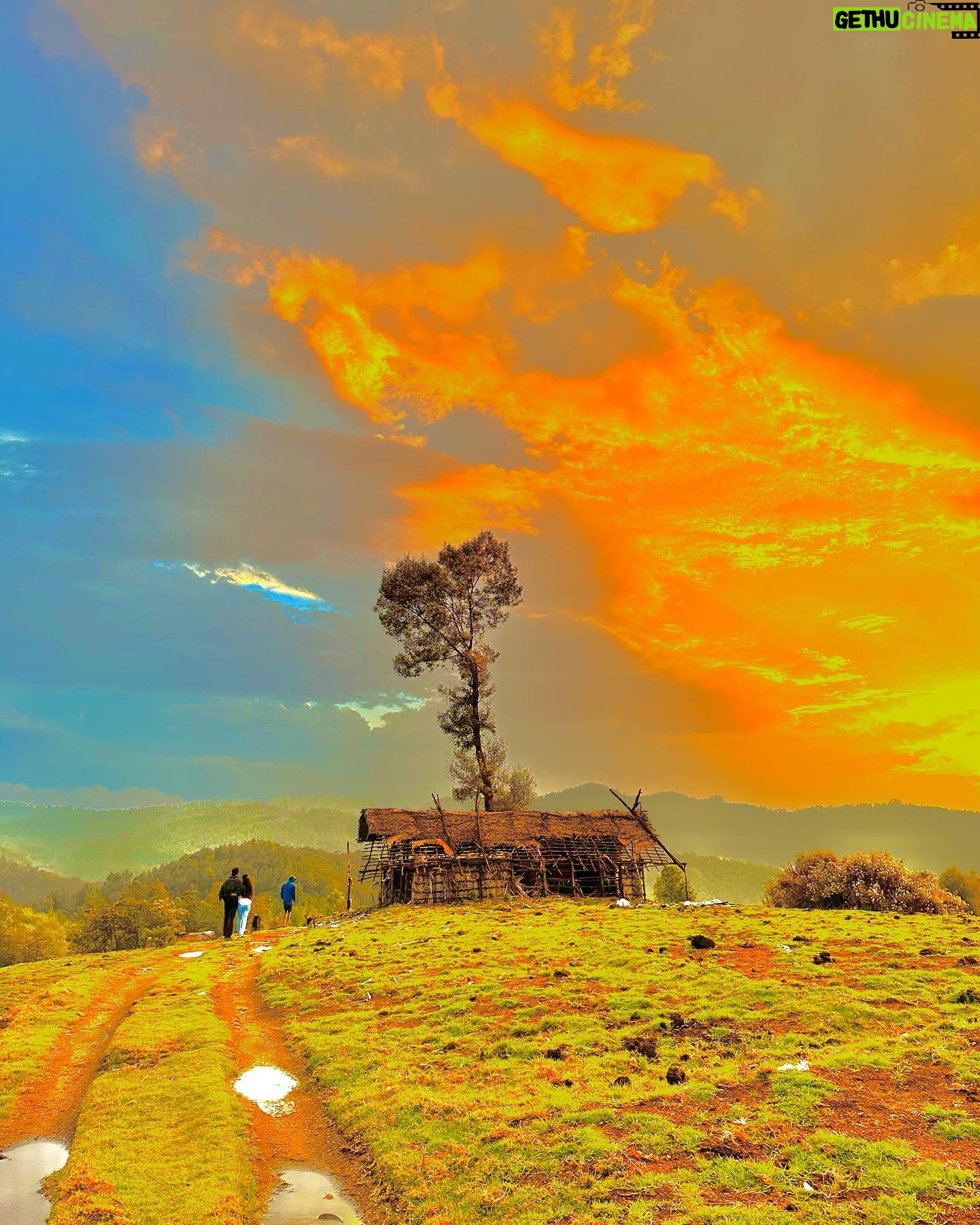 Preethiga Instagram - Some good captures at kodaikanal 🕊️ . Pc: @abisheksam10 . #photography #nature