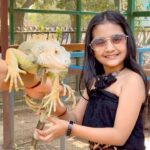 Princy Prajapati Instagram – Pleasure having you @kisnanatureparksurat loved every corner, calm club enjoyed at lot made my day 🥰

#reels #naturpark #birds #explore #reelinstagram