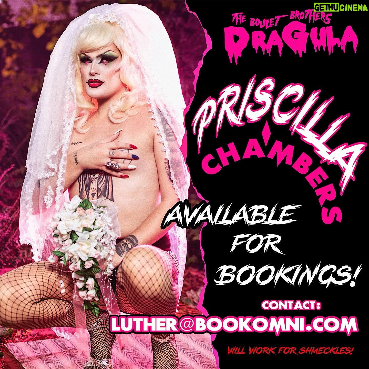 Priscilla Chambers - 4.2K Likes - Want me in a city near you!? Share/tag your favorite bars and show directors!
I’m available for New Years Eve ;)
Email: Luther@bookomni.com