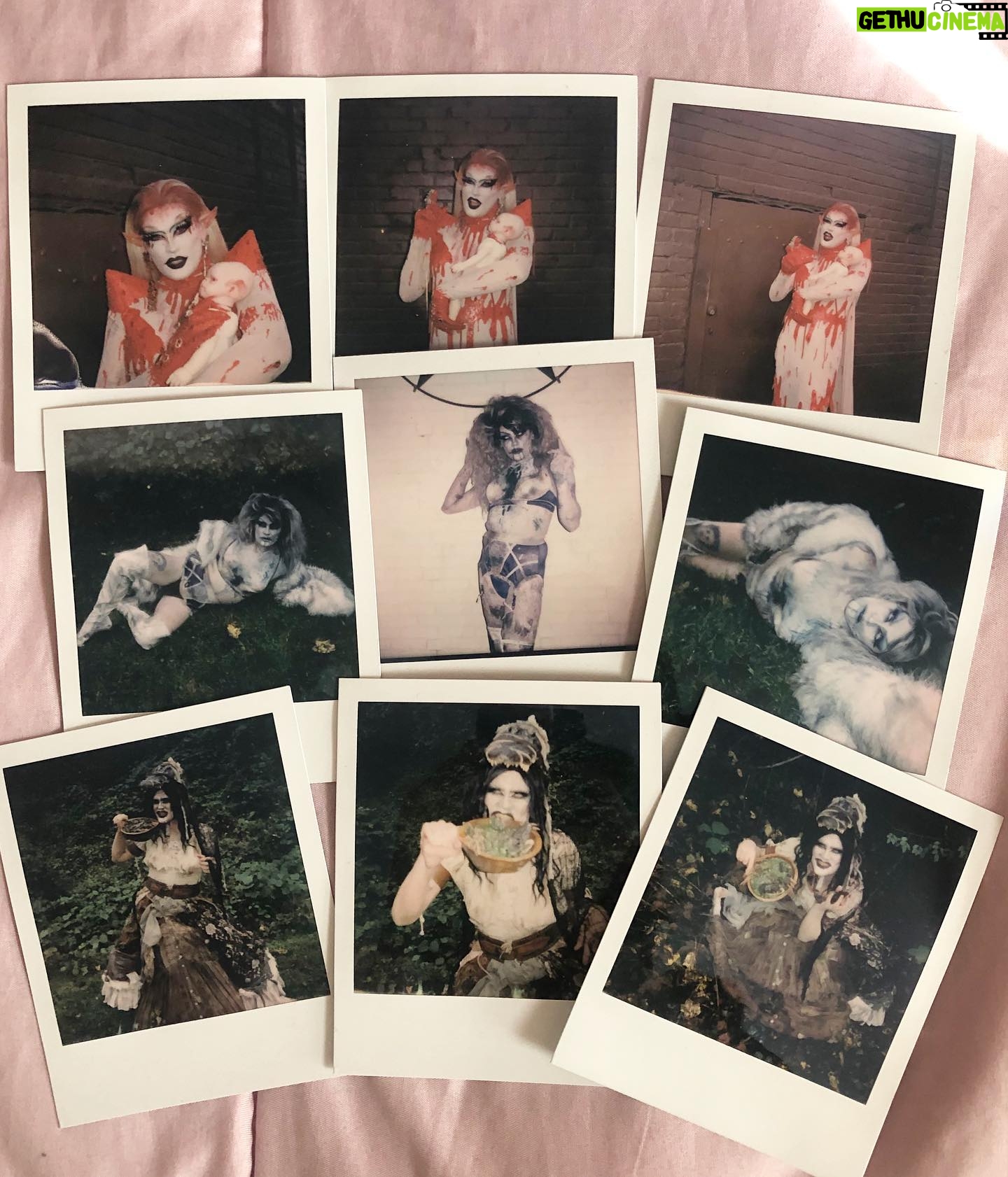 Priscilla Chambers - 7.2K Likes - Hey fam! Here’s your one and only chance to get a Polaroid of my looks from Resurrection. These are one of a kind and will not be taken again.
If you’re interested, Each is $100 ($5 shipping). Polaroids are SIGNED:) if you would like to purchase one, for example, comment: (2 SOLD) and then immediately dm me! Happy Halloween!