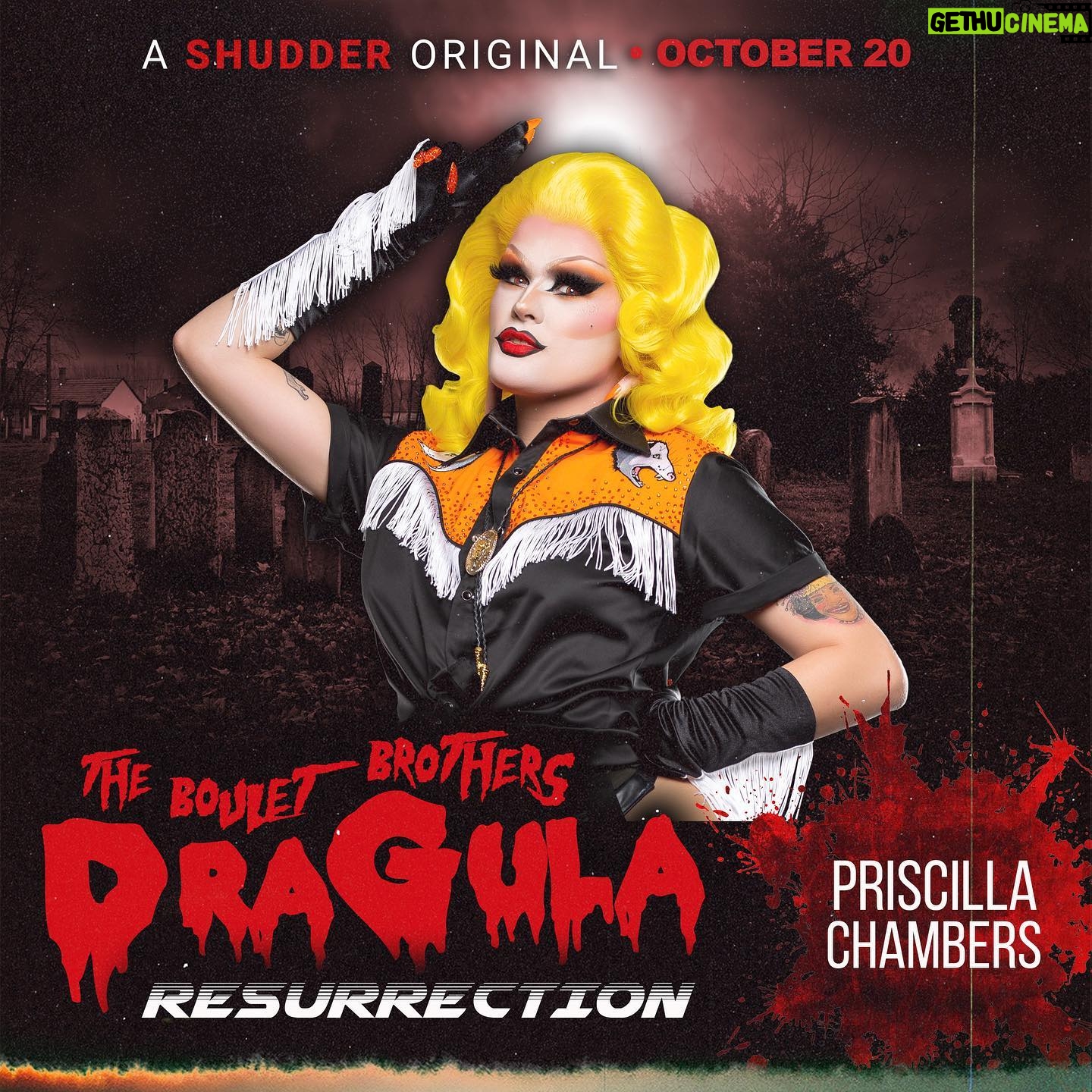 Priscilla Chambers - 5K Likes - I’ll say it again...TRANS DRAG IS IMPORTANT! Very excited for you all to see the madness on Tuesday! 😈
“The Boulet Brothers’ Dragula: Resurrection” Premieres OCT 20 at 12:00AM ET (10/19 at 9PM PST) only on Shudder