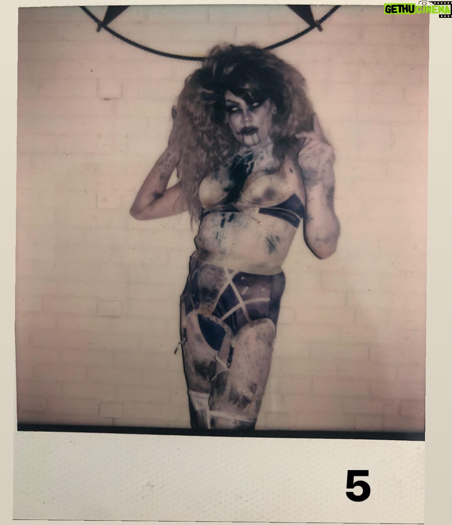 Priscilla Chambers - 7.2K Likes - Hey fam! Here’s your one and only chance to get a Polaroid of my looks from Resurrection. These are one of a kind and will not be taken again.
If you’re interested, Each is $100 ($5 shipping). Polaroids are SIGNED:) if you would like to purchase one, for example, comment: (2 SOLD) and then immediately dm me! Happy Halloween!
