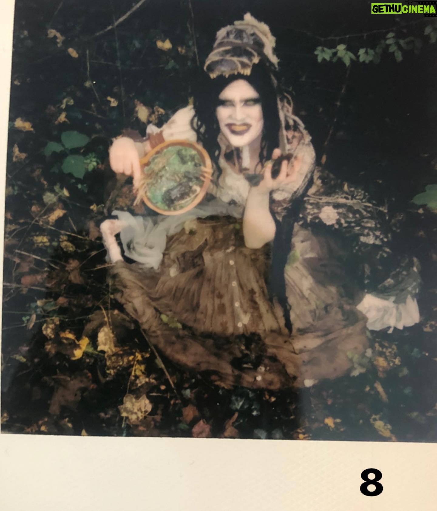 Priscilla Chambers - 7.2K Likes - Hey fam! Here’s your one and only chance to get a Polaroid of my looks from Resurrection. These are one of a kind and will not be taken again.
If you’re interested, Each is $100 ($5 shipping). Polaroids are SIGNED:) if you would like to purchase one, for example, comment: (2 SOLD) and then immediately dm me! Happy Halloween!