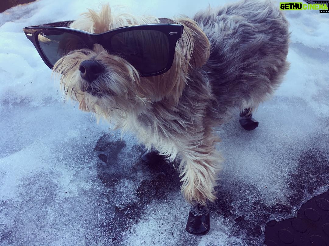 Priscilla Faia - 1.8K Likes - Happy Valentine's Day from my little snow bunny to you! 💓 #gabby #snowboots #verymad