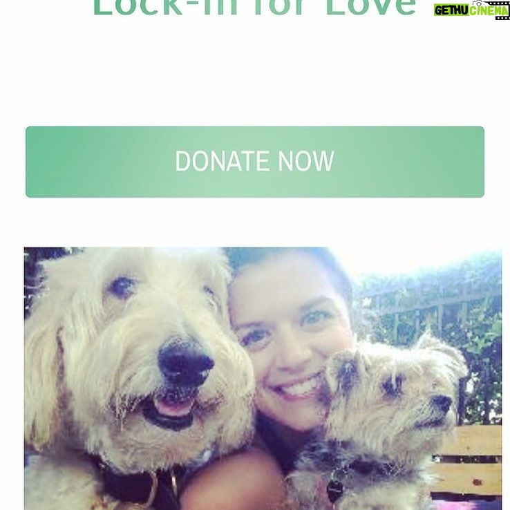 Priscilla Faia - 2.7K Likes - Calling all animal lovers! On Friday, I'll be locked in a kennel in support of the BC SPCA. We are raising money for all the animals in need. If you can, please donate! I won't be released until I raise my goal! My donation page is in my bio! 🇨🇦🐶🐱🐰🐥🐹