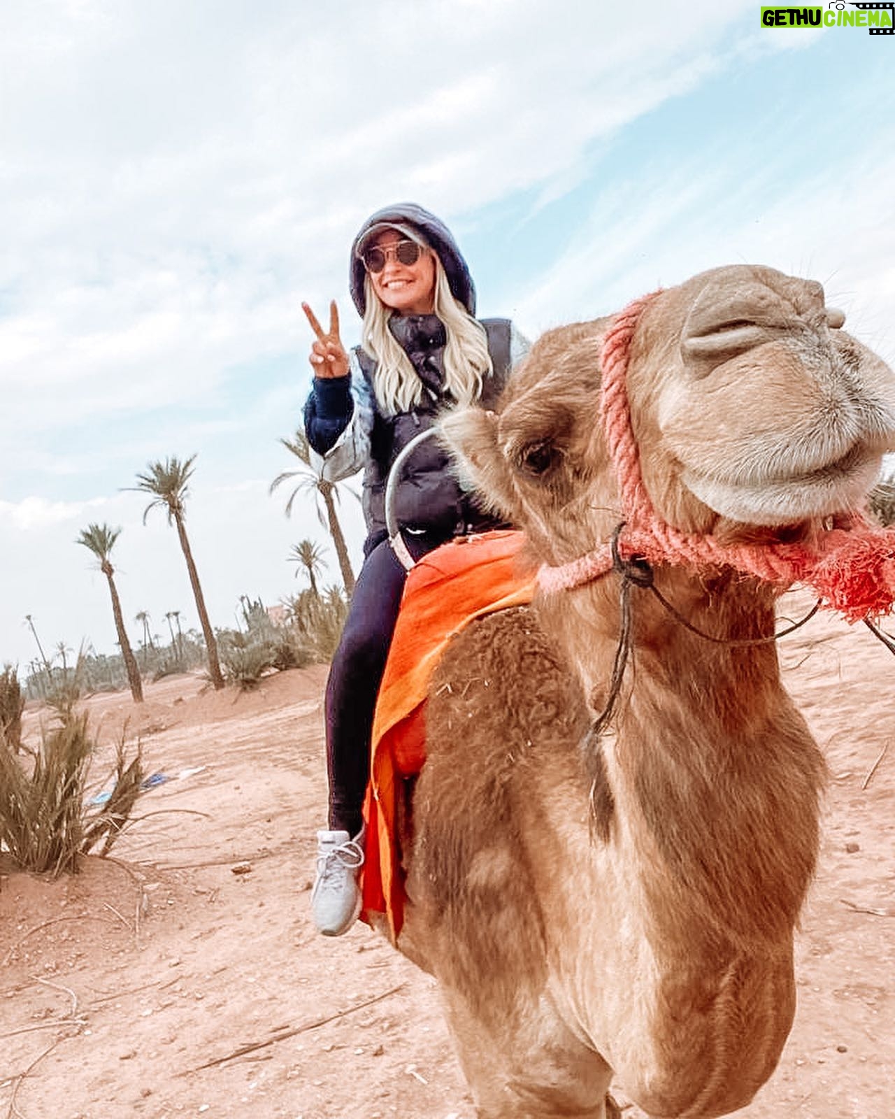 Priscilla Betti Instagram - Alors, chameau 1 ou 2 bosses ?! 😂 🐪