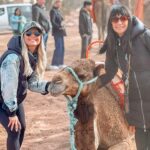 Priscilla Betti Instagram - Alors, chameau 1 ou 2 bosses ?! 😂 🐪