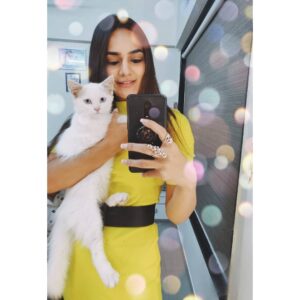 Priyanka Purohit Instagram - They didn't choose their fate.
Open your heart for homeless/rescued cats ❤️✨
Introducing my young feline friend (more like a daughter) "LAILA" 🐈🐾 .
And this is our first (special) picture together taken on my birthday 💫 
Glad you chose me Laila 🥰😍
.
.
.
#whitekitten #persiancat #mycatdoesntlikepictures #shedoesntevenlikeme #kittenlady #catmomlife #yourmomishere