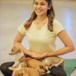 Pujitha Devaraj Instagram - Introducing my babies🐾 Getting back to my fav spot on earth @pawga_ 🐶after ages is truly a bliss✨ All these puppies are up for adoption,so pls contact @blue_cross_rescues to take them home🐾 📸 @thatmadraskaran #dontshopadopt #indies #pawga #instadog #puppy