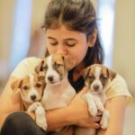Pujitha Devaraj Instagram - Introducing my babies🐾 Getting back to my fav spot on earth @pawga_ 🐶after ages is truly a bliss✨ All these puppies are up for adoption,so pls contact @blue_cross_rescues to take them home🐾 📸 @thatmadraskaran #dontshopadopt #indies #pawga #instadog #puppy