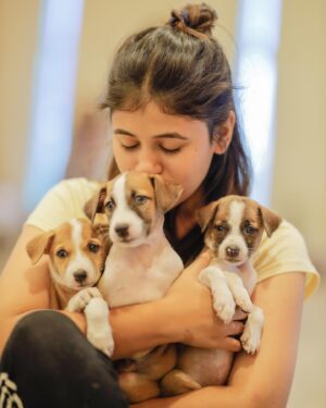 Pujitha Devaraj Instagram - Introducing my babies🐾

Getting back to my fav spot on earth @pawga_ 🐶after ages is truly a bliss✨
All these puppies are up for adoption,so pls contact @blue_cross_rescues to take them home🐾
📸 @thatmadraskaran 

#dontshopadopt #indies #pawga #instadog #puppy
