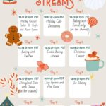 QTCinderella Instagram - Photo Dump with cats and a December Stream schedule if you care 🐯