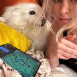 QTCinderella Instagram - You’re telling me I can now multitask while gaming?! The world isn’t ready 😈 Big shoutout to @googleplay and @android for hosting the Split-Screen @clashofclans tournament on the Samsung #galaxyzfold5 ! #sponsored Don’t miss the finale tomorrow with @disguisedtoast and @itshafu !