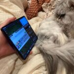 QTCinderella Instagram - You’re telling me I can now multitask while gaming?! The world isn’t ready 😈 Big shoutout to @googleplay and @android for hosting the Split-Screen @clashofclans tournament on the Samsung #galaxyzfold5 ! #sponsored Don’t miss the finale tomorrow with @disguisedtoast and @itshafu !