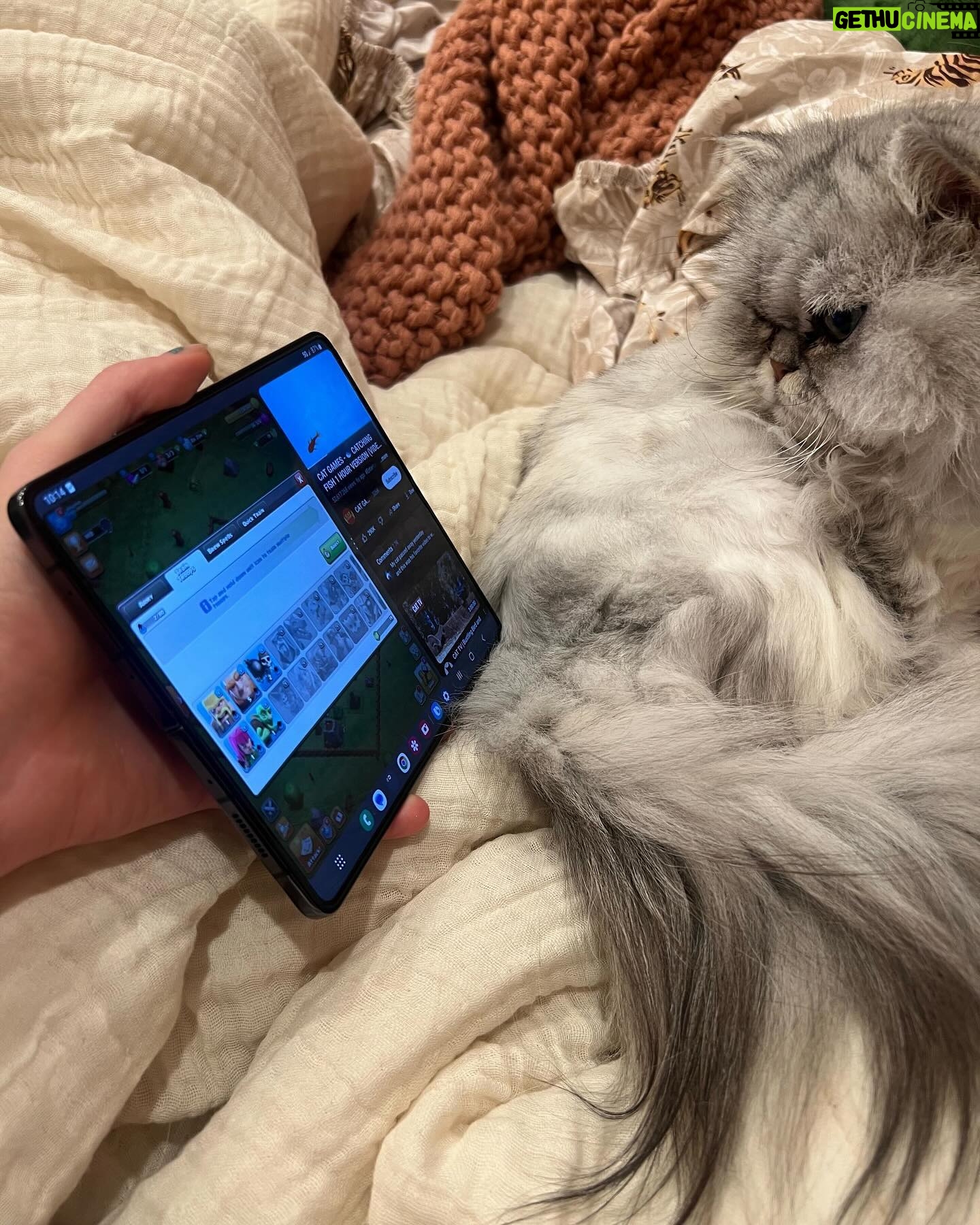 QTCinderella Instagram - You’re telling me I can now multitask while gaming?! The world isn’t ready 😈 Big shoutout to @googleplay and @android for hosting the Split-Screen @clashofclans tournament on the Samsung #galaxyzfold5 ! #sponsored Don’t miss the finale tomorrow with @disguisedtoast and @itshafu !
