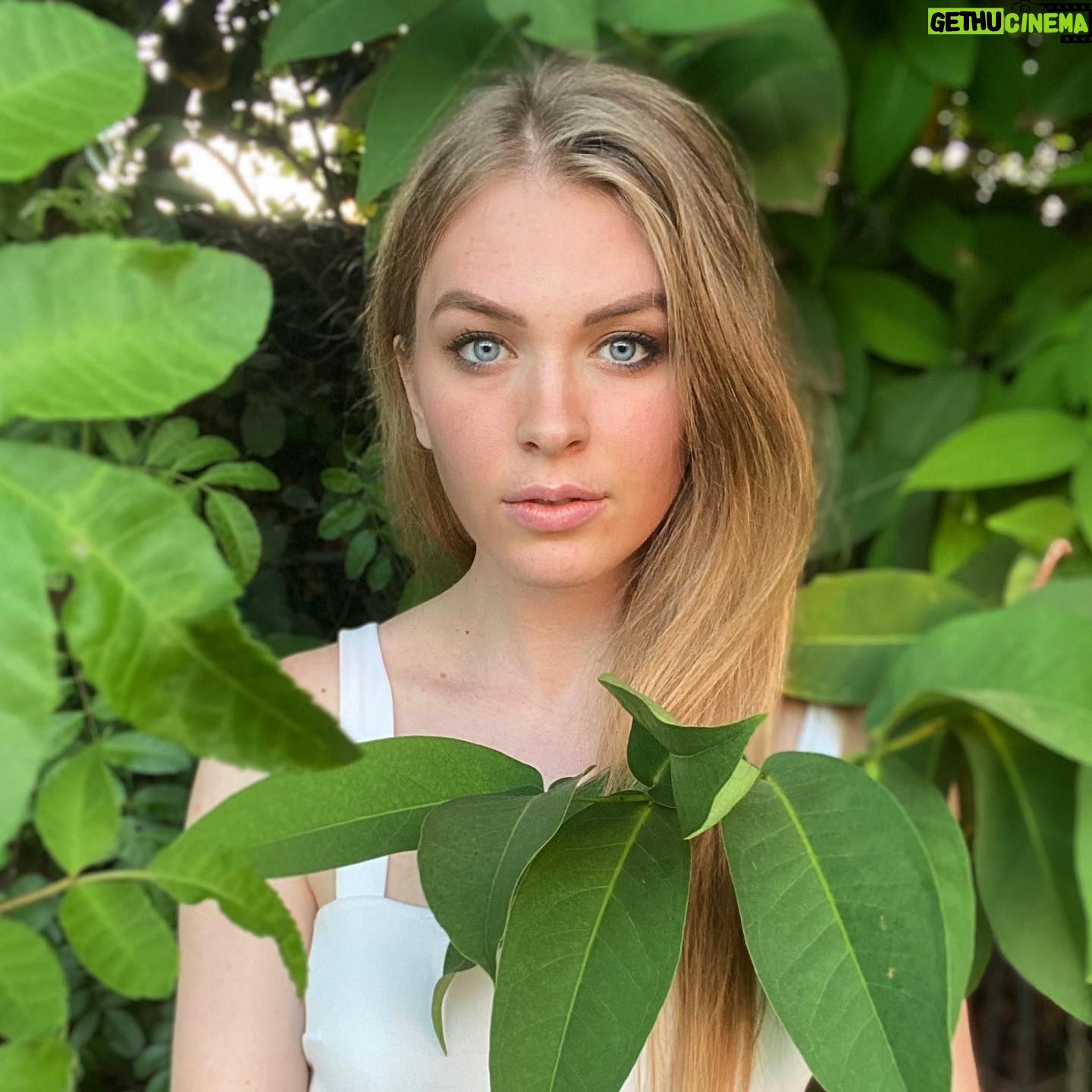 QTCinderella Instagram - Here’s me in a tree again. I never posted this cause it was weird that I was in a tree again but I guess here it is. Me in a tree again.