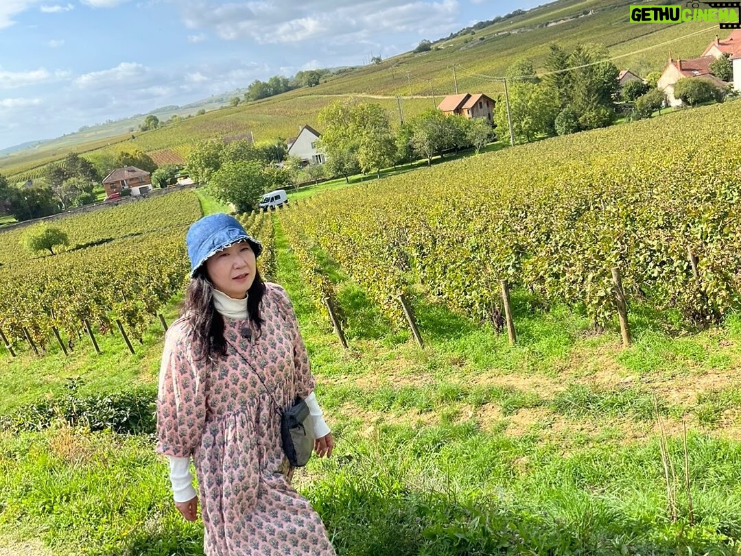 Ra Mi-ran Instagram - #텐트밖은유럽남프랑스 룰루랄라 매일했던 마트 장보기 . 이제 슬슬 다가오는 여행의 끝.. 아 벌써 아쉽다.!!