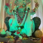 Rachana Mistry