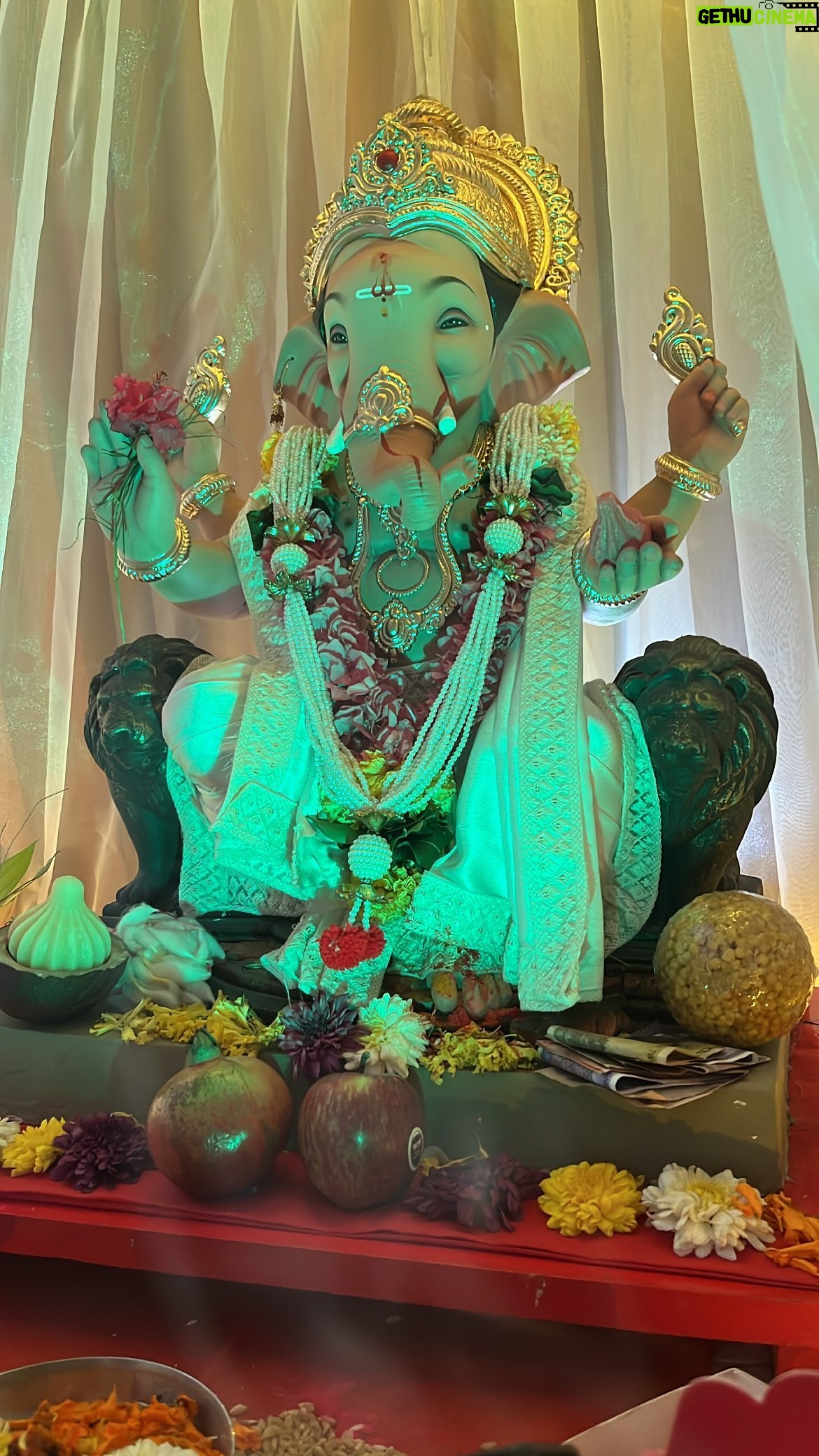 Rachana Mistry - 4K Likes - Ganpati bappa morya 🙌🏻🧿
2023🙌🏻
.
.
.
#BLESSED🙏🏻🧿