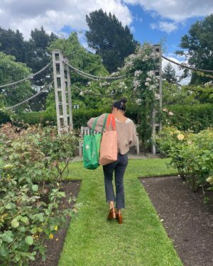 Rachel Hilson Instagram - Here’s a haiku for one entering a dystopian rose garden:
Close your eyes (&) ears (&) mouth
To better smell the roses
Beneath the exhaust