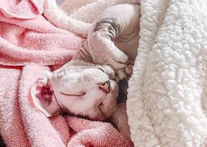 Rachel Miner Instagram - “I have lived with several Zen masters -- all of them cats.” 
― Eckhart Tolle

“The smallest feline is a masterpiece.” 
― Leonardo da Vinci  #Caterday