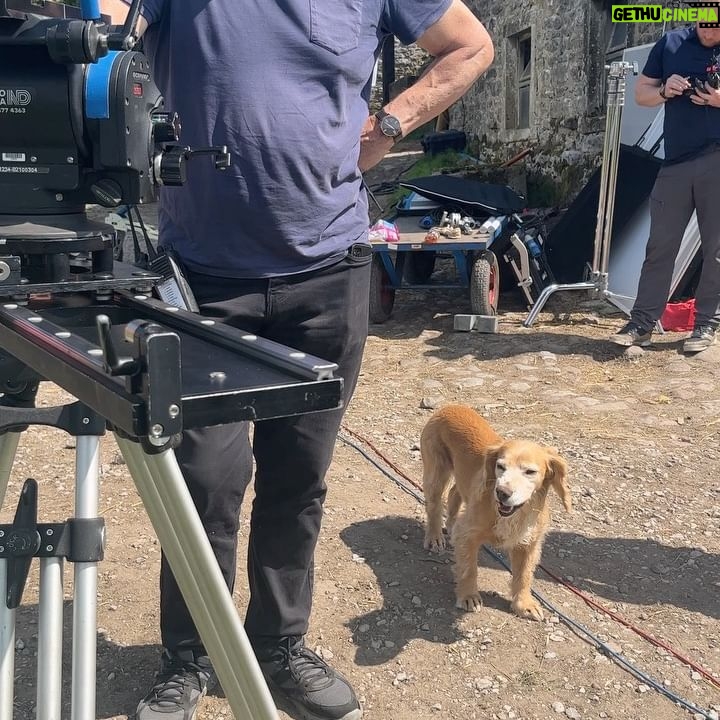 Rachel Shenton - 6.3K Likes - Not long now 👀…
#ACGAS #BTS #SEASON4
