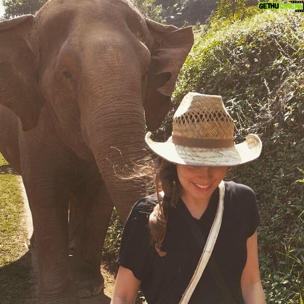 Rachel Shenton - 2.9K Likes - #throwback … I love a trek, I’ve just booked 2 more … it’s been a while! I’d love to do more in the UK too, (ideally in the south) please send recommendations! 🙏🏼
#HikingAdventures #NatureEscape #trekking