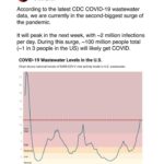 Rachel Bloom Instagram - The pandemic is not over. We are in a surge. Please wear a mask. Especially if you are coming to my show in the next few days. Reposting from @luckytran.