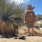 Rachel Hurd-Wood Instagram - A very memorable day in Joshua Tree. We climbed, wandered and stayed hydrated! 💧 My shorts and top are from the wonderfully sustainable and chic @alohas 🦋 #gifted #joshuatree
