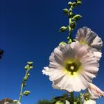 Rachel Hurd-Wood Instagram - A message for anyone looking for a bit of comfort: nothing is permanent, behind the clouds sits a beautiful blue sky and you are loved x