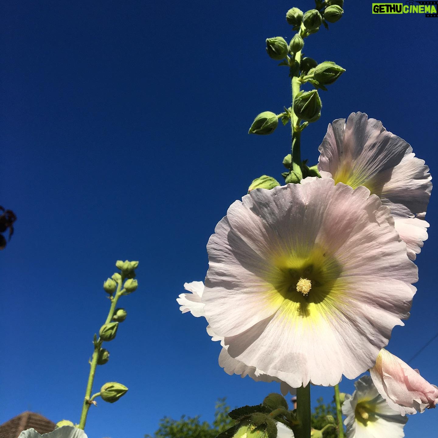 Rachel Hurd-Wood Instagram - A message for anyone looking for a bit of comfort: nothing is permanent, behind the clouds sits a beautiful blue sky and you are loved x