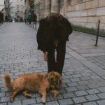 Rachel Legrain-Trapani Instagram - Ce look que vous avez adoré & un nouveau petit pote sur la quatrième photo 🖤 venez me dire en commentaire votre photo préférée #paris