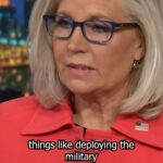 Rachel Maddow Instagram - It seems that by the end of his term Trump had figured out the “grown ups in the room” trick. ‘A risk that we simply can’t take’: Why Trump’s erratic lame duck raises red flags - Former Rep. Liz Cheney talks with Rachel Maddow about why Donald Trump’s staffing changes during his post-election loss lame duck period were not only unusual but represent a dangerous shift in his mindset that portends ominously if he were to win a second term.