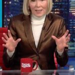 Rachel Maddow Instagram - “He’s nothing. He is like a walrus snorting.” E.Jean Carroll describes her surprise at how insubstantial Donald Trump’s presence was in court, despite his image and hype.