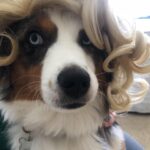 Rachel Matthews Instagram - This is what it’s come to